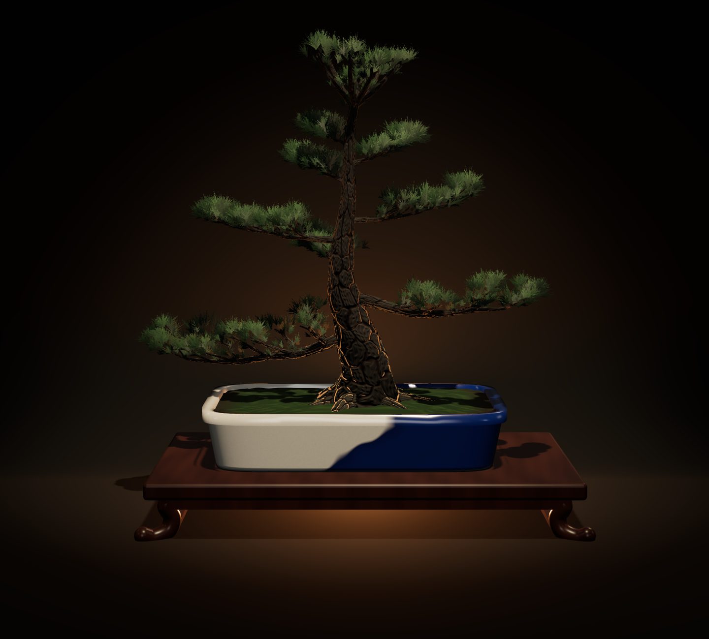 白と藍にかけ分けた鉢に植えた、染めていない緑の黒松。足の反った紫檀色の卓にのせ、暗い部屋で後ろからやわらかく照らしている